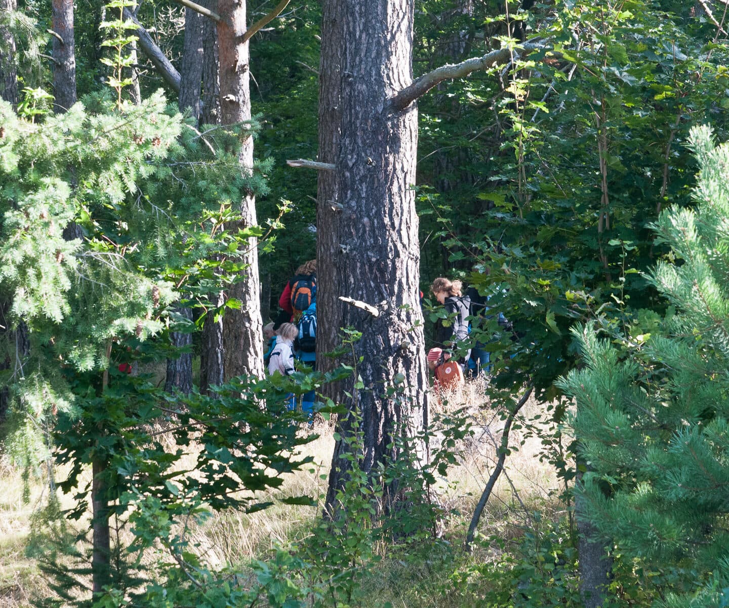 Natursnokarna