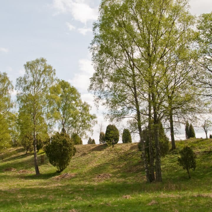 Munkarps Fälad. Foto Stina Deurell